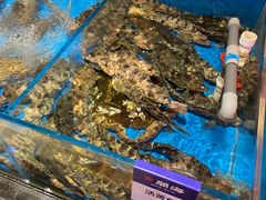 水产区-开海·红岛海鲜虾水饺(石老人店)