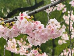 -静安雕塑公园