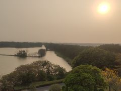 -大湾区中央湿地公园