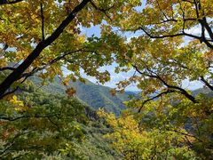 -五女峰国家森林公园