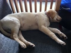 iphone_upload_pic-武夷山旧街壹号溪岸旅馆(三姑度假区店)