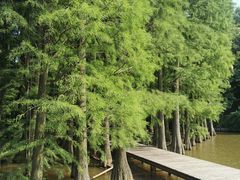 -采石矶景区