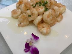 清炒虾仁-普天和酒楼·新津菜·烤鸭(天津之眼店)