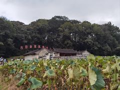 -古田会议纪念馆