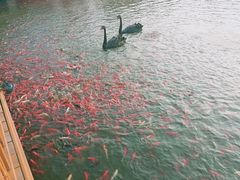 -卧龙湖