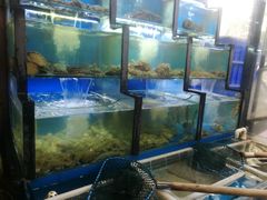 水产区-老东镇啤酒屋海鲜加工·蒸汽海鲜·海鲜烧烤(台东店)