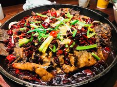 -老板恋上鱼(荣盛广场店)