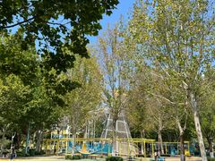 -张店儿童公园