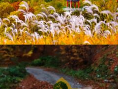 -玉渡山自然风景区