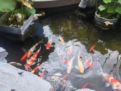 -道南書院·私房菜·早午茶·茶馆