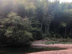 -水墨汀溪风景区