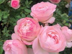 -人民公园(罗湖区)