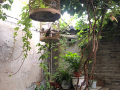 -伊隆斋(什刹海店)