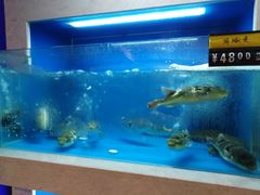 -曹家大院(通州店)