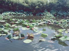 -飞天山旅游区