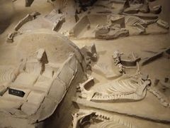 -洛阳周王城天子驾六博物馆