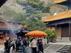-普陀山风景名胜区-法雨禅寺