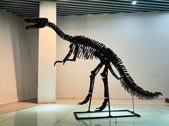 -烟台自然博物馆