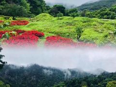 -广州市石门国家森林公园