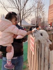 -萌宠亲子动物乐园(槐房万达店)