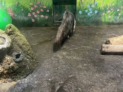 -常州淹城野生动物世界