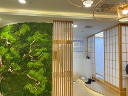 -POCO宝珂丽科技美肤