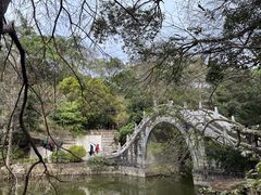 -深圳仙湖植物园