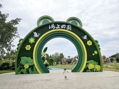 -海上田园
