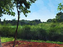 -大兴滨河森林公园