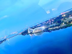 -新加坡摩天观景轮