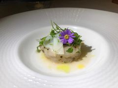 -蝶舍·MAISON PAPILLON