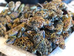 -Isla Sugbu Seafood City