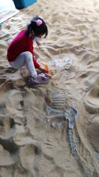 点击看大图 -恐龙探索乐园(磁器口店)