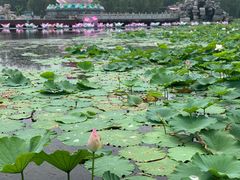 -南戴河国际娱乐中心