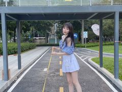 -景田北六街公园宠物主题园