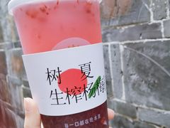 -树夏(锦里店)