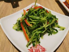凉拌豆苗-老班长手工灌汤包老店(东山店)