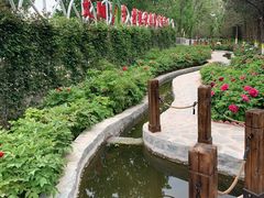 -太阳宫公园