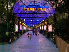 -广州长隆国际大马戏