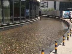 -北京园博大酒店