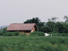 -良渚古城遗址公园