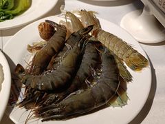 黑虎虾-领鲜活海鲜榴莲自助火锅(东门店)