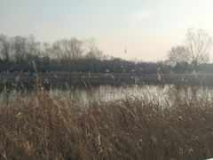 -永定河休闲森林公园