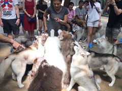 -TrueLove @ Neverland (Husky Cafe)