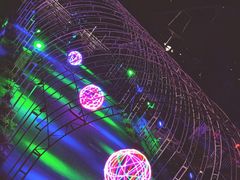 -锦江乐园舞狸花花游园会(夜场专享)