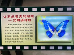 -上海昆虫博物馆