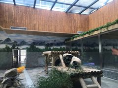 -西安秦岭野生动物园