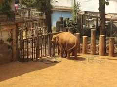 -昆明动物园