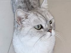 -平行世界·猫咖(首经贸店)
