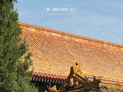 -北京市劳动人民文化宫(太庙)